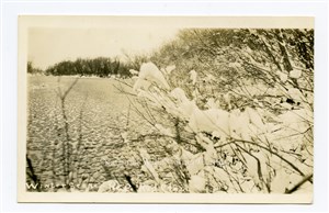 Image description is not available for PHO-264-616